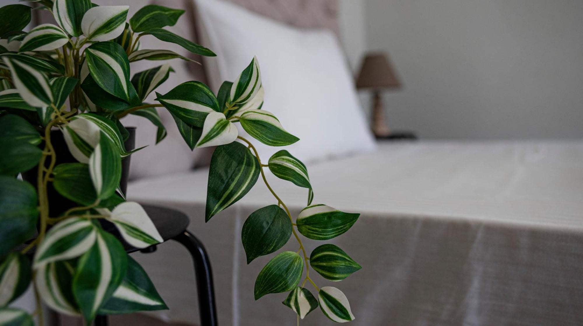 Nikitas Apartments & Suites 카날리 외부 사진